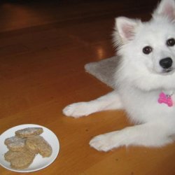 Peanut Butter Dog Treats