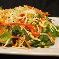 Crispy Noodle Salad With Sweet and Sour Dressing