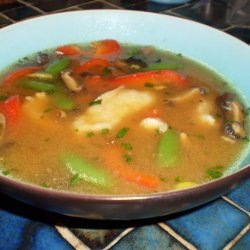 Spicy Asian Chicken Soup