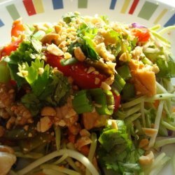 Chinese Stir-Fry over Crunchy Slaw