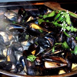 Thai  Steamed Mussels